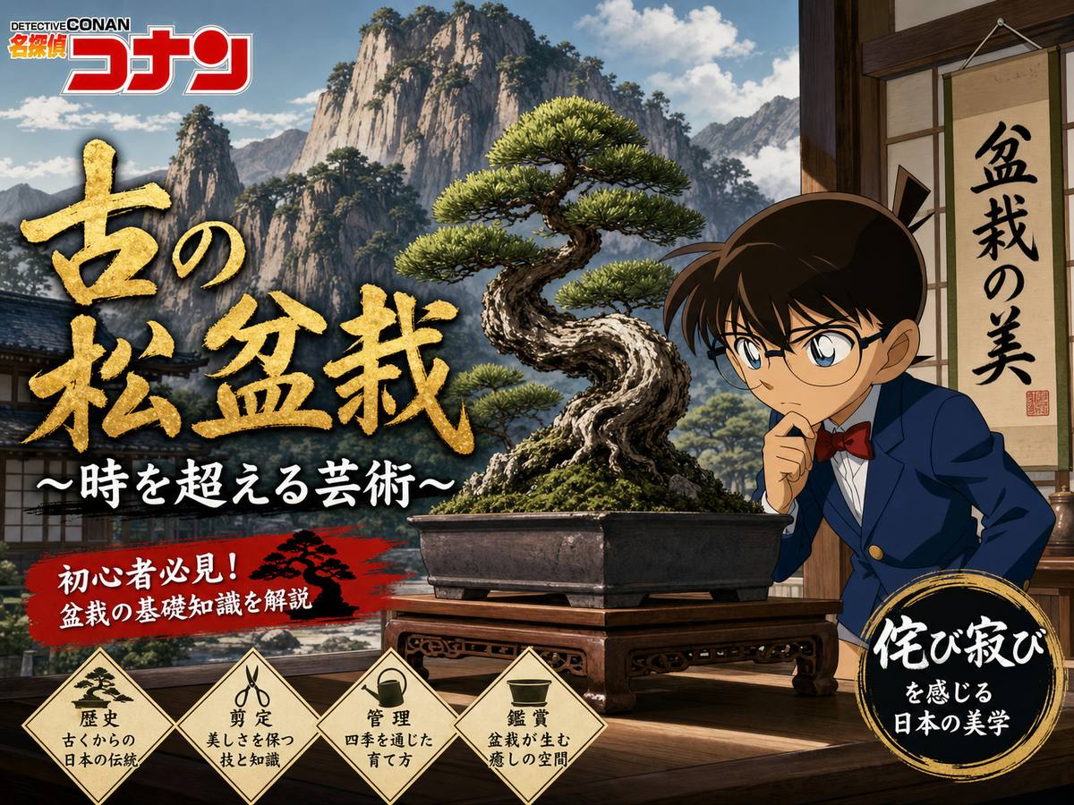 国产精品盆栽视频